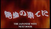 Download video sex The Japanese Wife Next Door lpar 2004 rpar HD