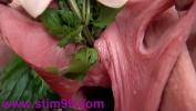 Free download video sex hot Nettles in Peehole Urethral Insertion Nettles amp Fisting Cunt fastest of free