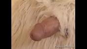 Watch video sex Bizarre Asian Blowjob With Furry Feral Friend fastest