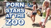 Free download video sex hot BANGBROS Sexy Pornstars Invade Famous Zoo amp Fuck Zookeeper high speed