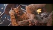 Video sex new Cats comma filme completo HD online