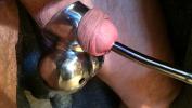 Video sex 2024 11 Sounding of cock and scrotum weights in xTeenPorn.Net